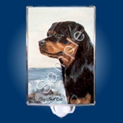 Cat and Dog Nightlights