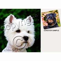Dog Coasters