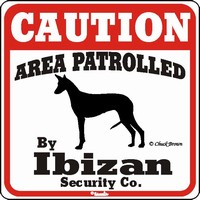 Ibizan Hound