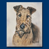 Irish Terrier
