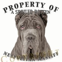 Neapolitan Mastiff