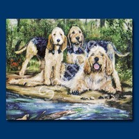 Otterhound