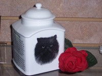 Best of Show Cat Urns