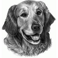 Dog Best of Show Lamps