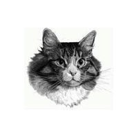 Cat Best of Show Lamps