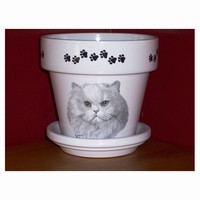 Cat Flower Pots
