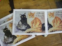 Pet Sympathy Cards