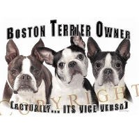 Vice Versa Tees