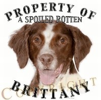Spoiled Rotten Tees
