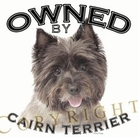 Owned By Tees and Sweats