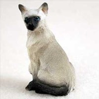 Cat Breed Tiny Ones