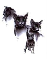 Laura Rogers Cat Breed Mugs