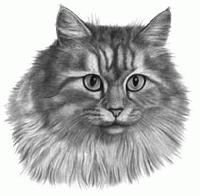 Cat Best of Show Spoon Rests