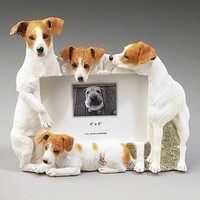 Dog Large Sculpted Frames