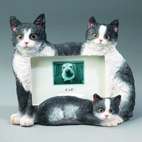 Cat Large Sculpted Frames