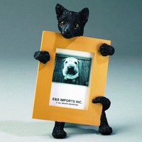 Cat Small Sculpted Frames