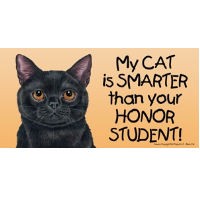 Cat Honor Student Magnets