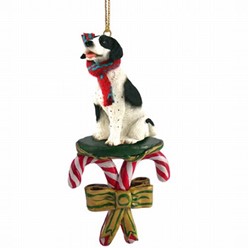 Dog Candy Cane Ornaments