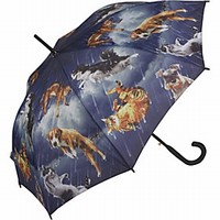 Umbrellas