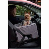 Car and Booster Seats