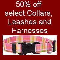 Collars & Leashes
