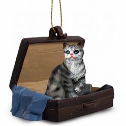 Cat Traveling Companions