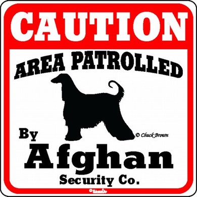 Raining Cats and Dogs | Afghan Caution Sign, the Perfect Beware of Dog Sign, the Perfect Beware of Dog Sign, the Perfect Dog Warning Sign, the Perfect Dog Warning Sign