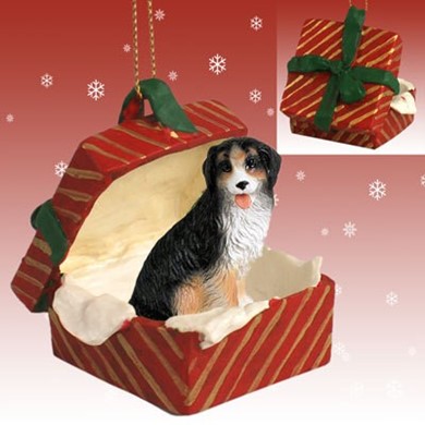 Raining Cats and Dogs | Bernese Mountain Dog Red Gift Box Christmas Ornament