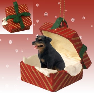Raining Cats and Dogs | Rottweiler Gift Box Christmas Ornament
