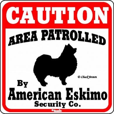 Raining Cats and Dogs | American Eskimo Caution Sign, the Perfect Dog Warning Sign