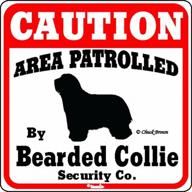 Raining Cats and Dogs | Bearded Collie Caution Sign, the Perfect Dog Warning Sign