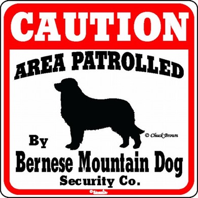 Raining Cats and Dogs | Bernese Mountain Dog Caution Sign, the Perfect Dog Warning Sign
