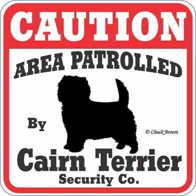 Raining Cats and Dogs | Cairn Terrier Caution Sign, a Fun Dog Warning Sign