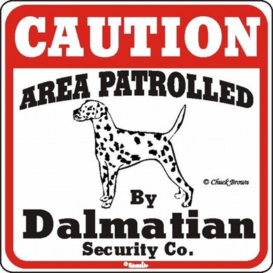 Raining Cats and Dogs | Dalmatian Caution Sign, the Perfect Dog Warning Sign