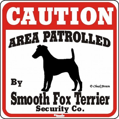 Raining Cats and Dogs | Smooth Fox Terrier Caution Sign, the Perfect Dog Warning Sign