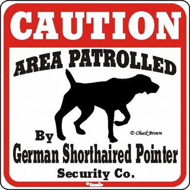 Raining Cats and Dogs | German Shorthaired Pointer Caution Sign, the Perfect Dog Warning Sign,t he Perfect Dog Warning Sign