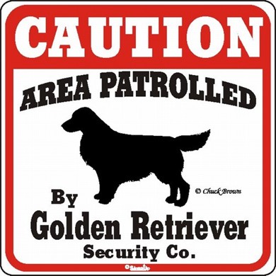 Raining Cats and Dogs | Golden Retriever Caution Sign, the Perfect Dog Warning Sign