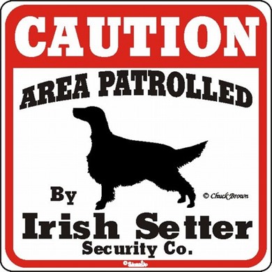 Raining Cats and Dogs | Irish Setter Caution Sign