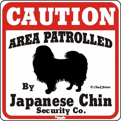 Raining Cats and Dogs | Japanese Chin Caution Sign