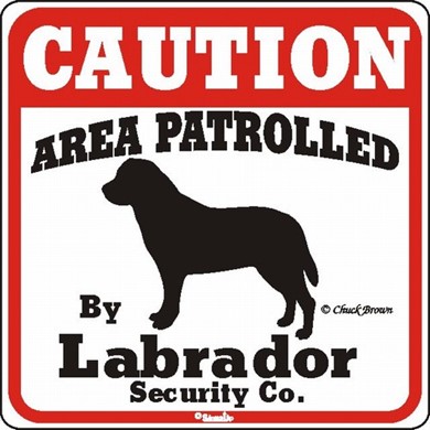 Raining Cats and Dogs | Labrador Retriever Caution Sign