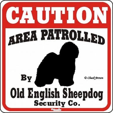 Raining Cats and Dogs | Old English Sheepdog Caution Sign