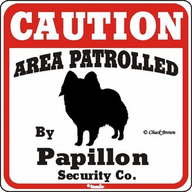 Raining Cats and Dogs | Papillon Caution Sign
