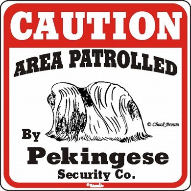 Raining Cats and Dogs | Pekingese Caution Sign