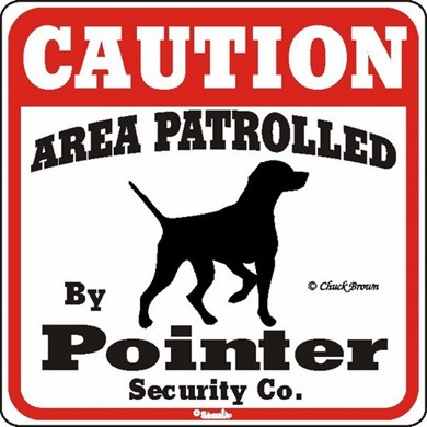 Raining Cats and Dogs | Pointer Caution Sign