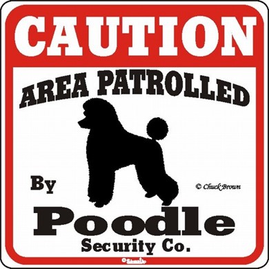 Raining Cats and Dogs | Poodle Caution Sign