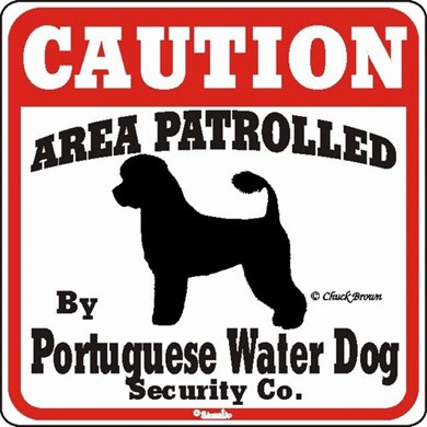 Raining Cats and Dogs | Portuguese Water Dog Caution Sign