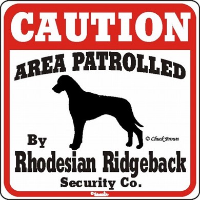 Raining Cats and Dogs | Rat Terrier Caution Sign