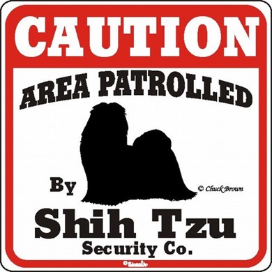 Raining Cats and Dogs | Shih Tzu Caution Sign
