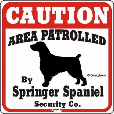 Raining Cats and Dogs | Springer Spaniel Caution Sign