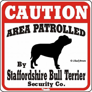 Raining Cats and Dogs | Staffordshire Bull Terrier Caution Sign